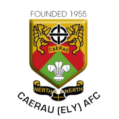 施白兰凯尔特人