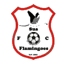 博茨瓦纳警察XI SC